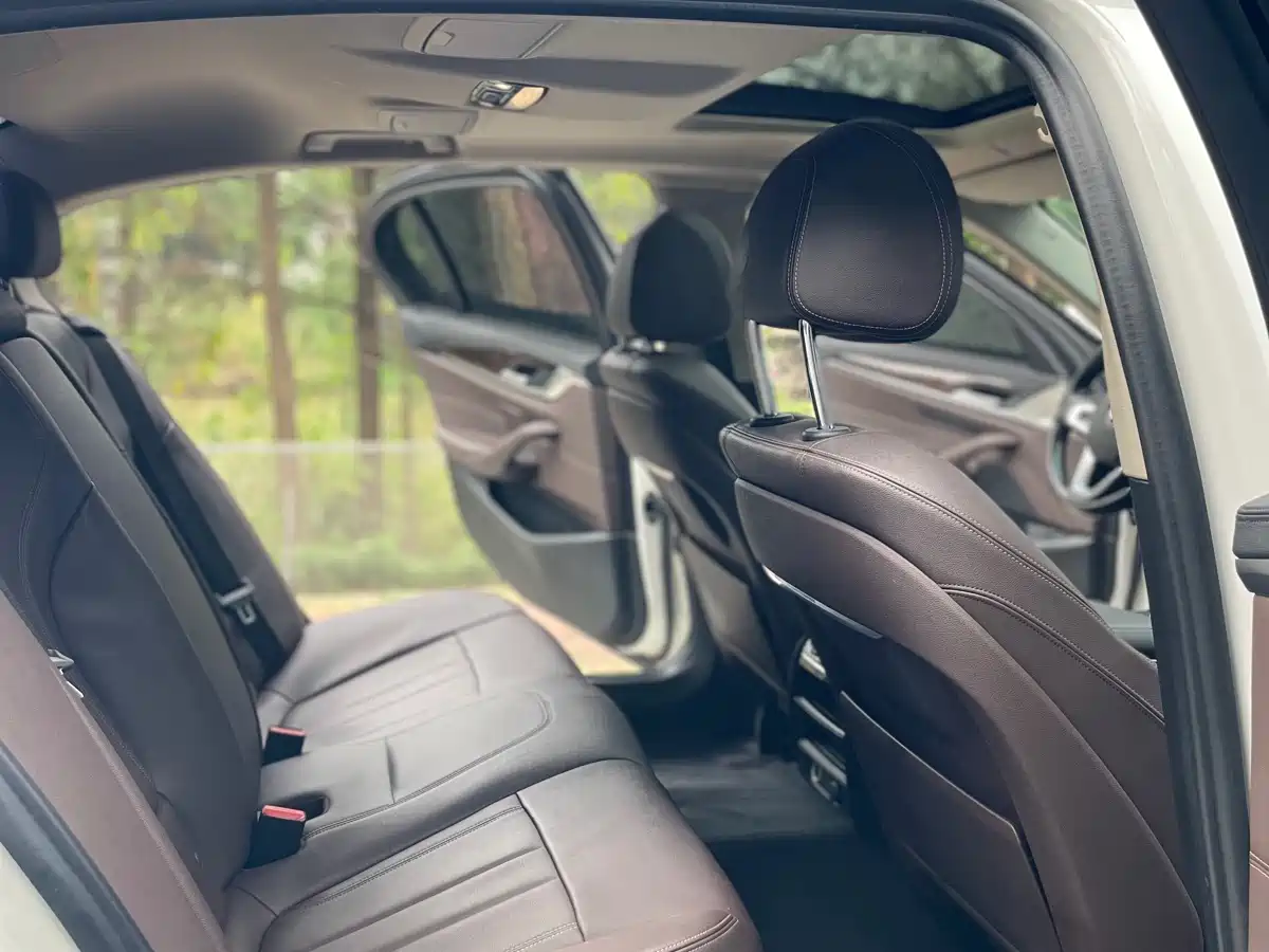 BMW 5 Series 2019 Facelift 525Li Luxury Package фото 17