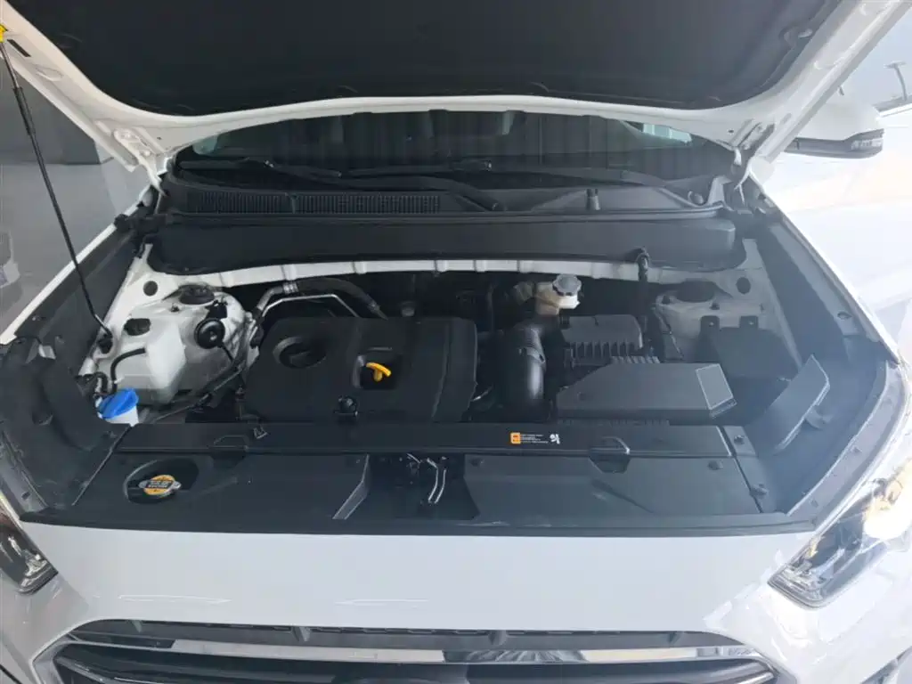 Hyundai Beijing Hyundai ix35 2019 2.0L Automatic 2WD Zhiyong·Enjoy China V фото 20