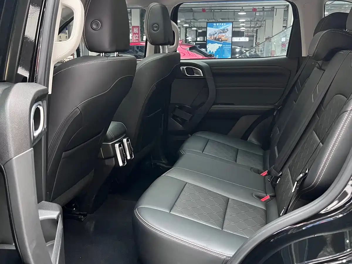 Haval Big Dog 2024 1.5T DCT Border Collie Edition фото 8
