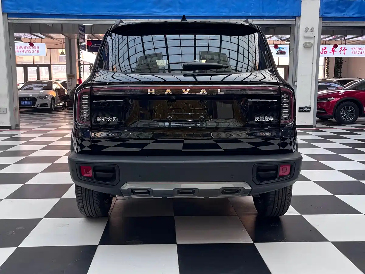 Haval Big Dog 2024 1.5T DCT Border Collie Edition фото 5