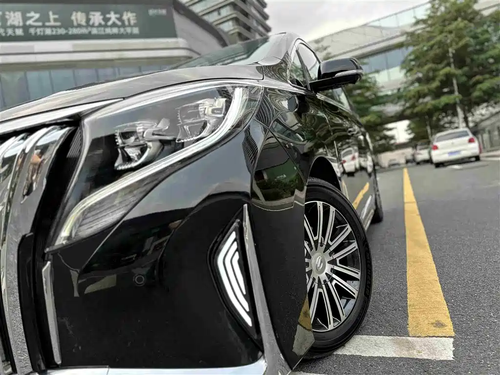 GAC Trumpchi Trumpchi M8 2021 Leading Show Series 390T Ultimate Edition фото 12