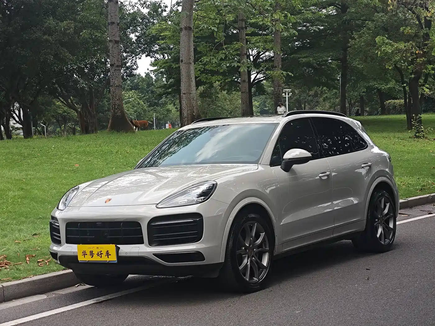Porsche Cayenne 2022 Cayenne S 2.9T Platinum Edition