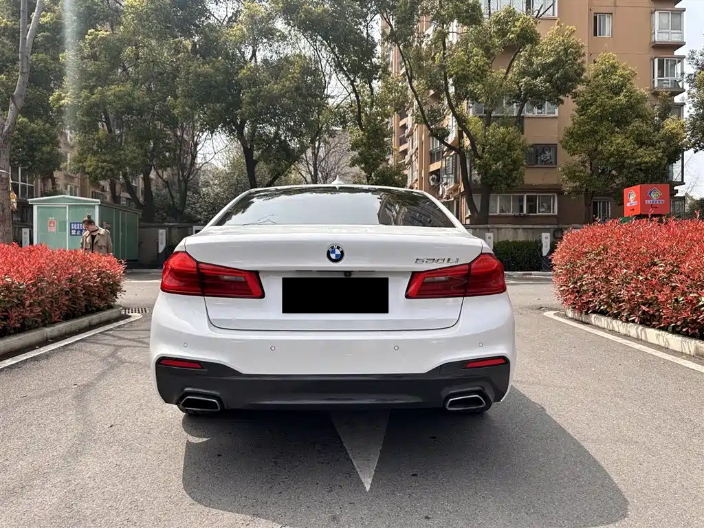 BMW 5 Series 2018 530Li Premium M Sport Package фото 15