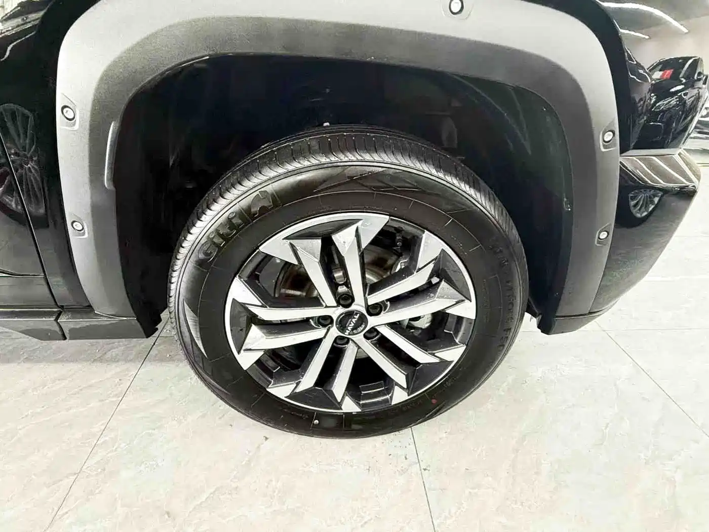 Haval Da Gou 2nd Gen 2023 2.0T 2WD Trendy Off-road Edition Plus фото 23