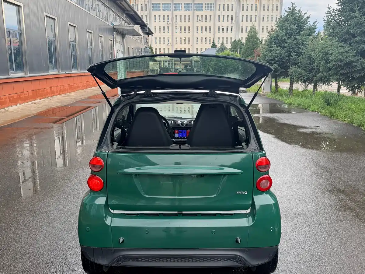 smart fortwo 2013 2013 1.0 MHD New Year Special Edition