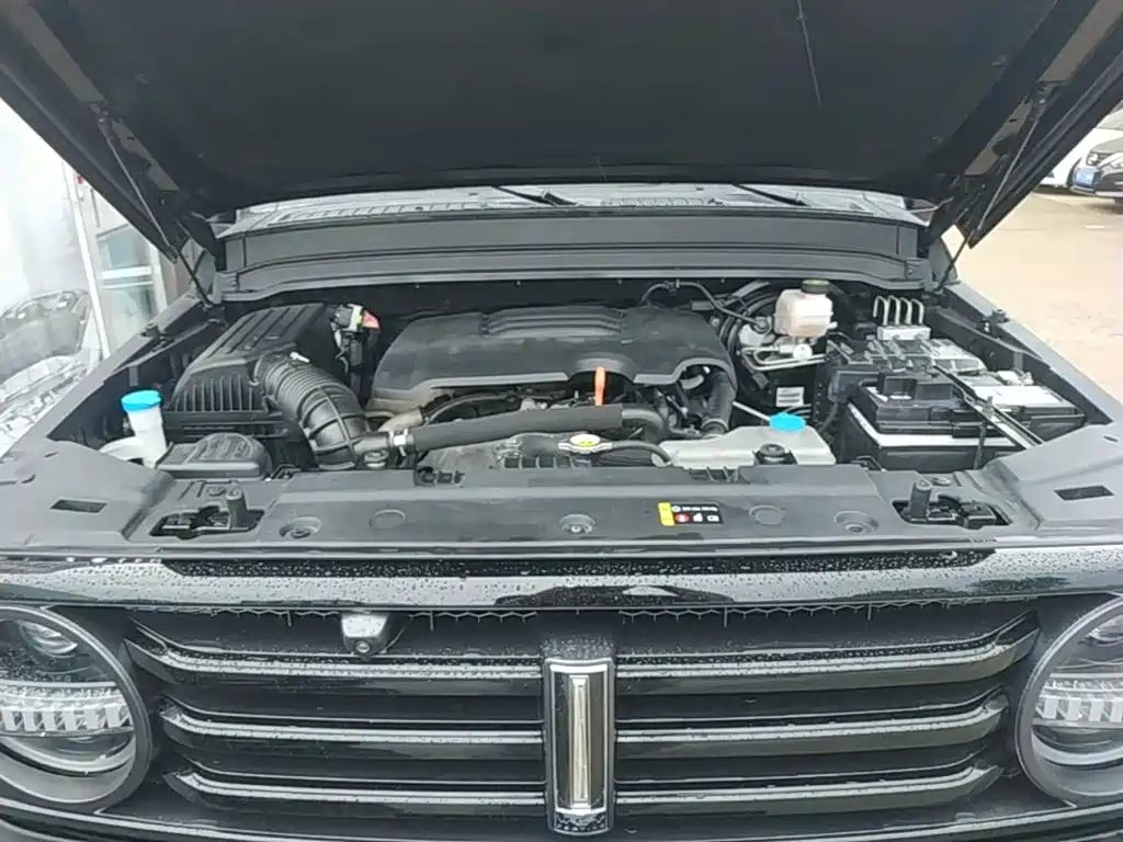 Tank 300 2021 2021 Off-road Edition 2.0T Challenger