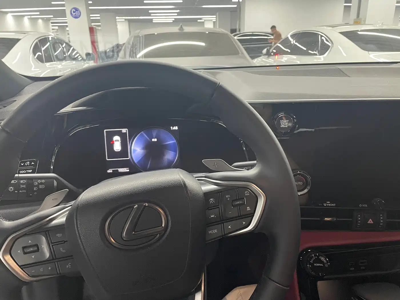 LEXUS NX