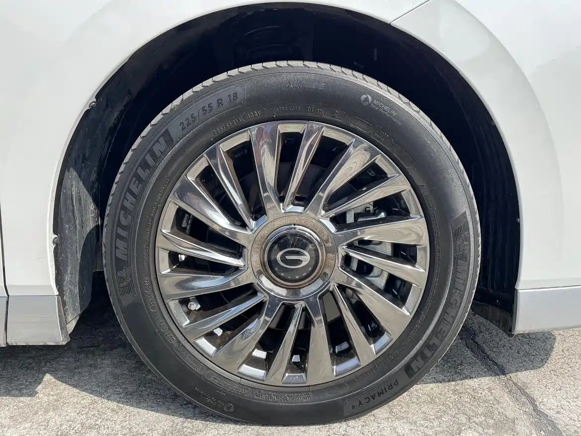 GAC Trumpchi Trumpchi M8 2023 Model Master Series Hybrid Royal Edition фото 29