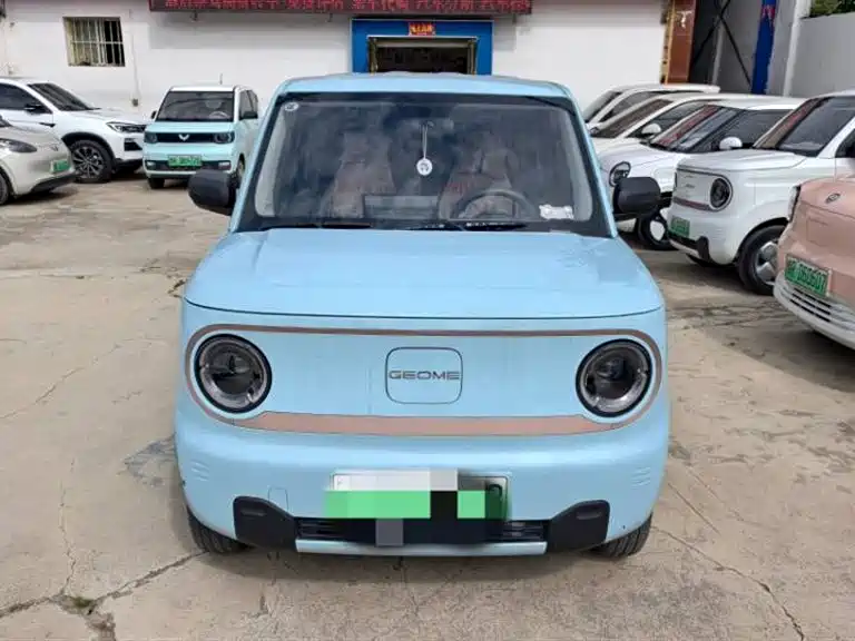 Geely Galaxy Panda 2023 Panda Mini 200km Endurance Bear фото 2