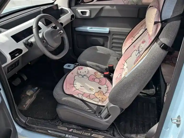 Geely Galaxy Panda 2023 Panda Mini 200km Endurance Bear фото 8