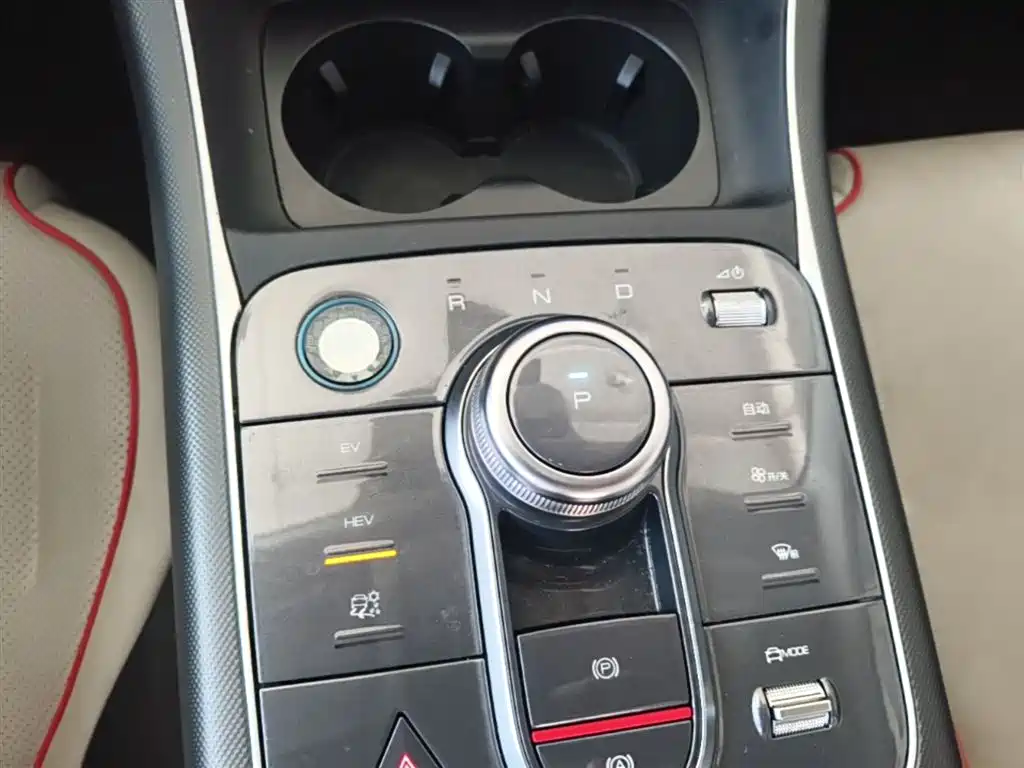 BYD Destroyer 05 2023 Champion Edition DM-i 55KM Luxury фото 14