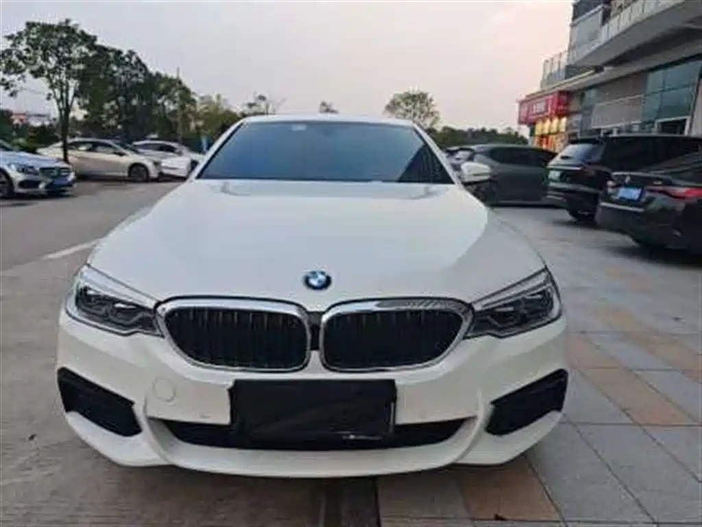 BMW 5 Series 2020 525Li M Sport Package фото 3
