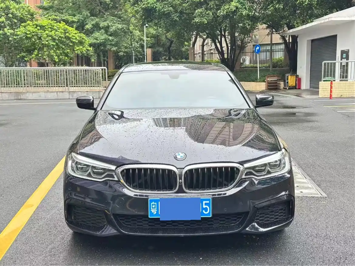 BMW 5 Series 2020 530Li Leading M Sport Package