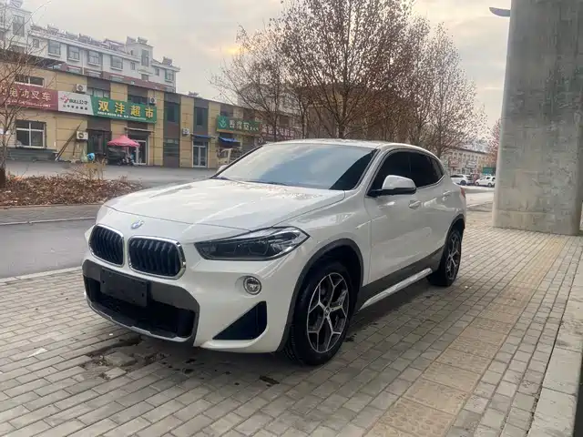  BMW BMW X2 (Import) 2019 sDrive20i M Off-Road Package China VI