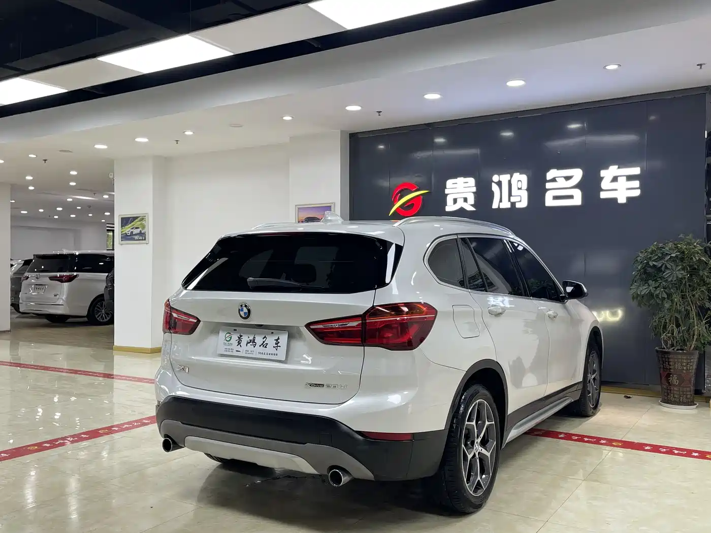 BMW X1 2019 xDrive20Li Premium Model фото 10