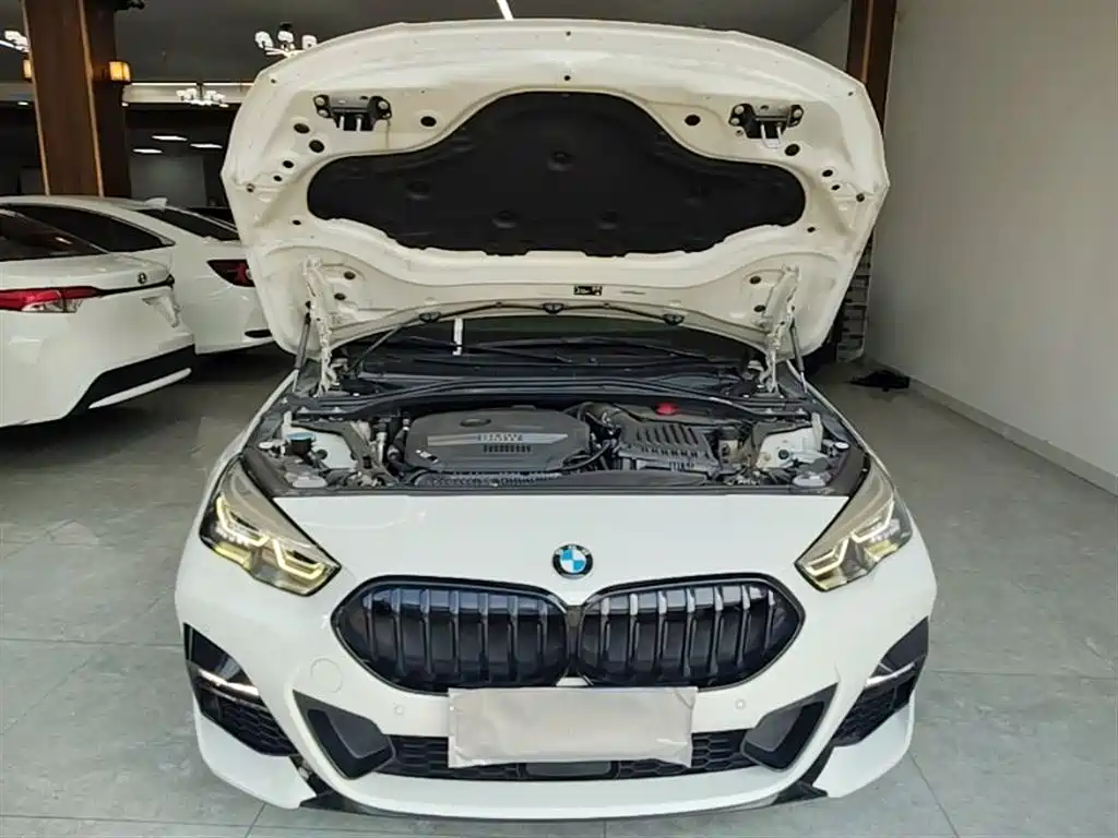 BMW 2 Series (Import) 2021 225i 4-Door Gran Coupe M Sport Shadow Edition фото 16