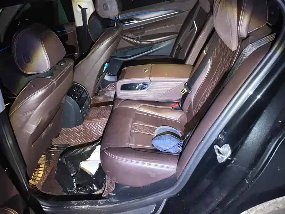 BMW 5 Series 2020 530Li Leading M Sport Package фото 11