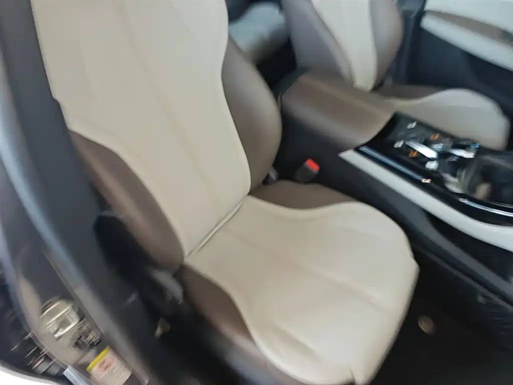 BYD Qin PLUS 2021 DM-i 55KM Premium фото 25