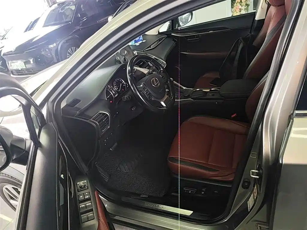 Lexus NX 2015 300h AWD F SPORT фото 16