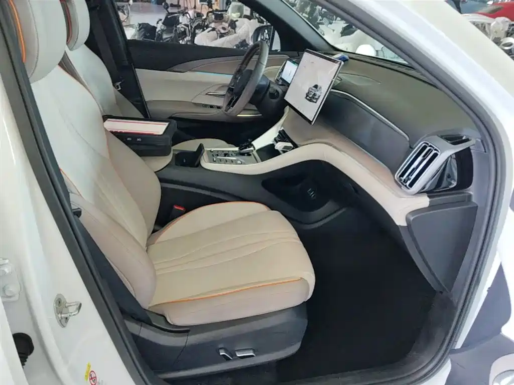 BYD Song Pro New Energy 2023 Champion Edition DM-i 110KM Excellence фото 25
