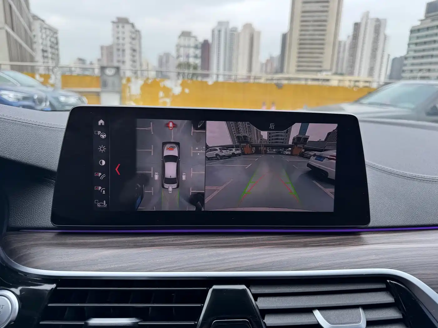 BMW 5 Series 2019 530Li Premium Luxury Package фото 14