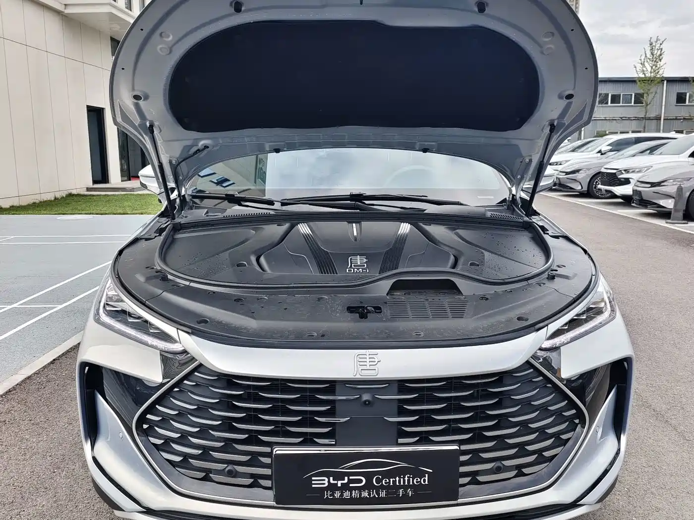 2025 BYD Tang New Energy