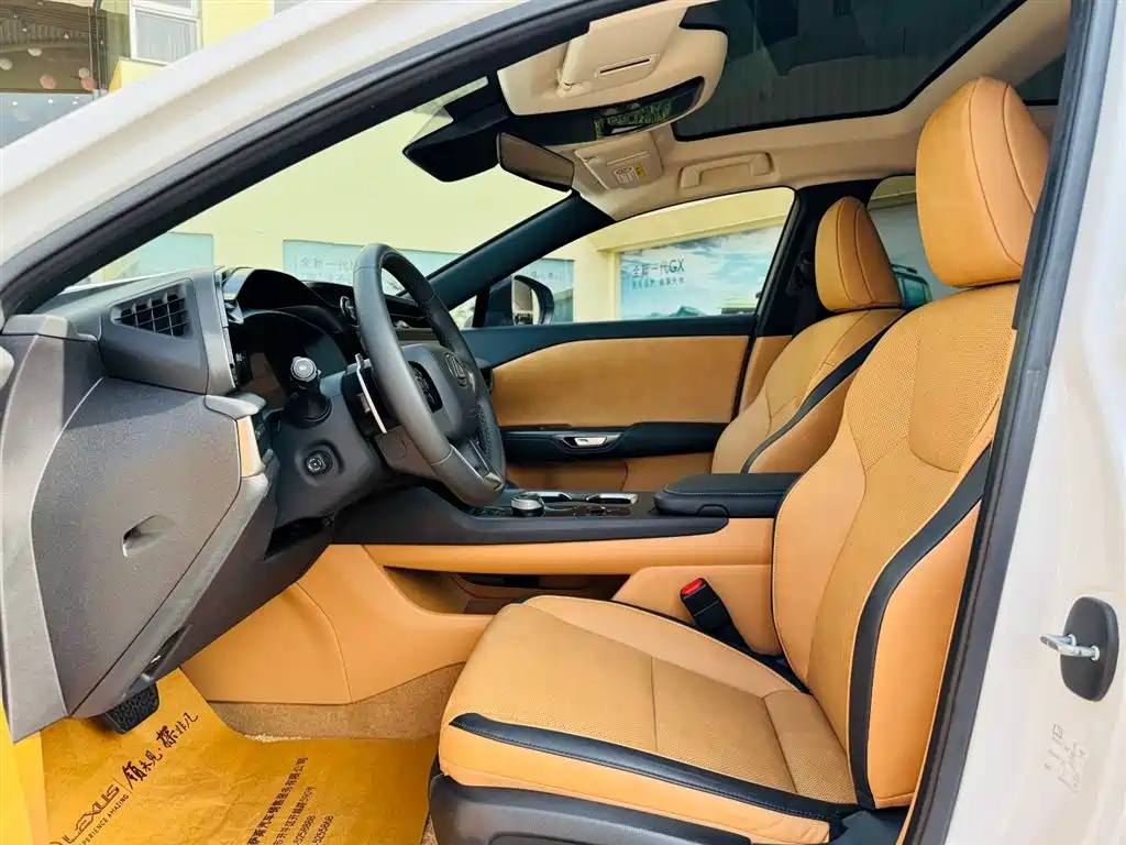 Lexus RZ 2023 450e 4WD Deluxe фото 5