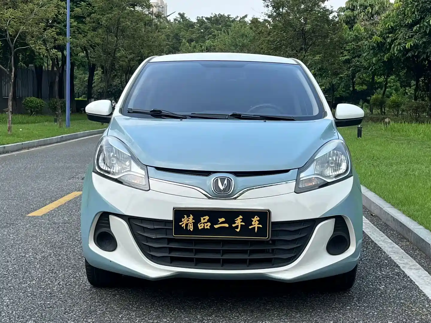 Фото 2 - Changan Benben E-Star
