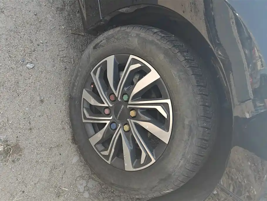 SAIC MAXUS CHASE G20