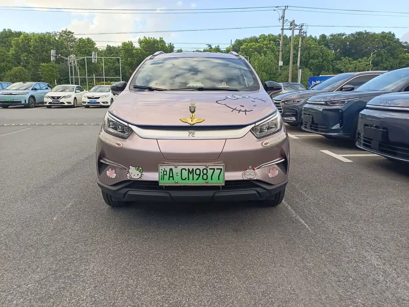 BYD Yuan Pro 2023 2023 320KM Luxury
