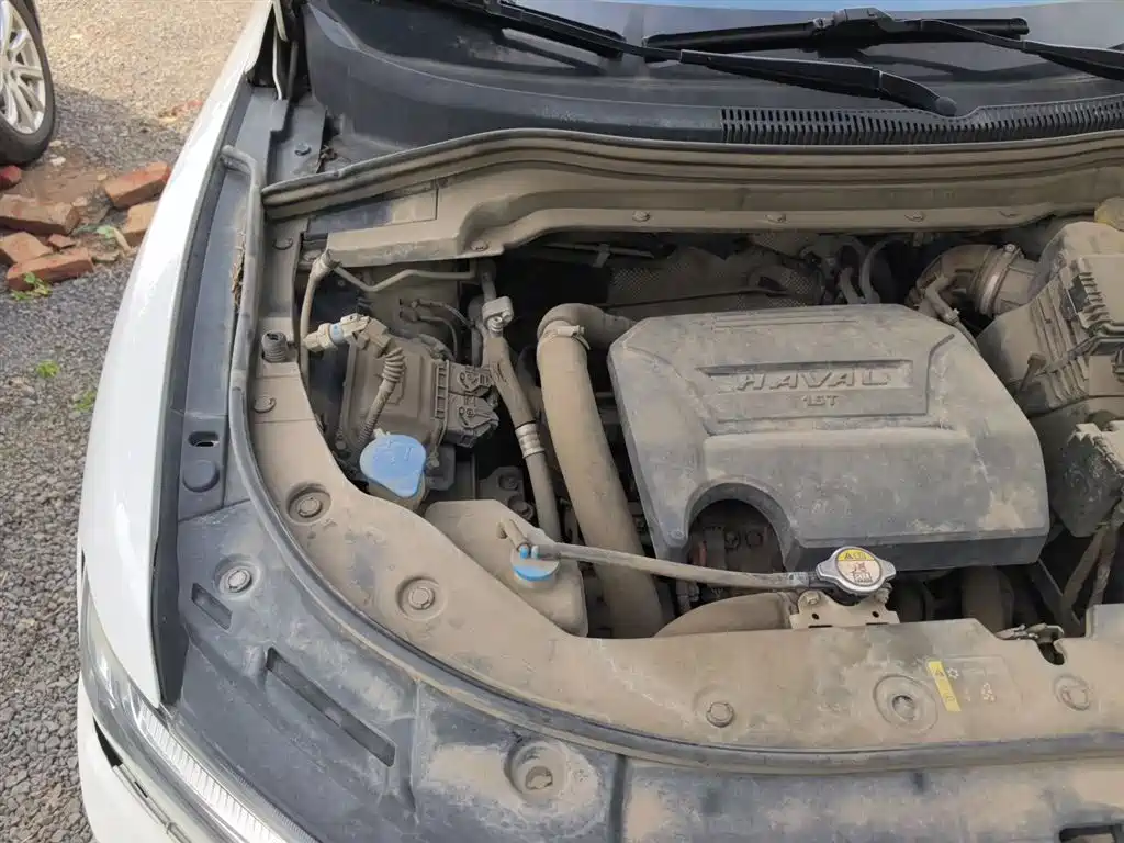Haval H2s 2018 Blue Label 1.5T DCT Luxury Model фото 21