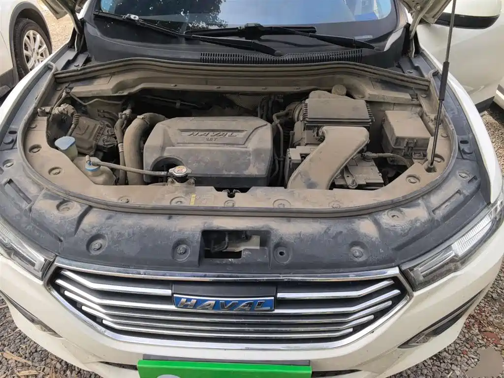 Haval H2s 2018 Blue Label 1.5T DCT Luxury Model фото 11