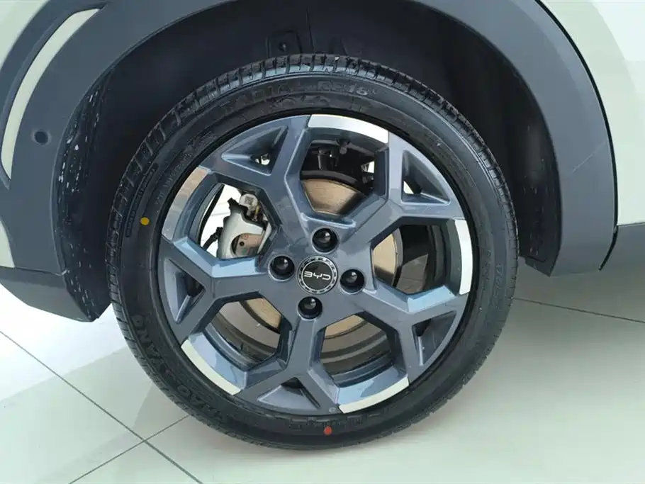 BYD Seagull 2025 Smart Drive Edition 305km Freedom Version фото 6