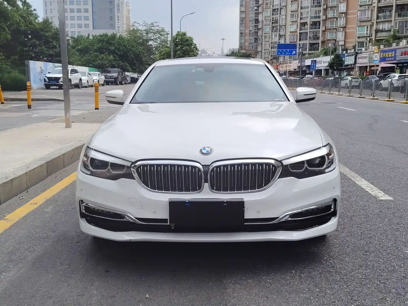 BMW 5 Series 2019 530Li Leading Luxury Package фото 2