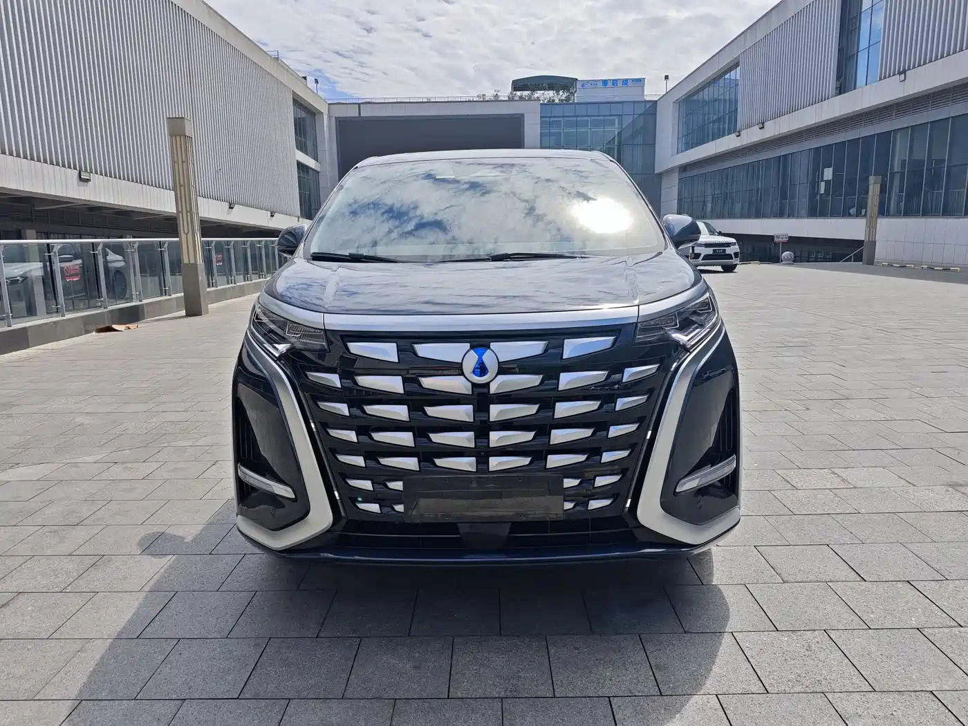 Denza D9 2022 DM-i 970 All-Wheel Drive Honor Edition фото 3