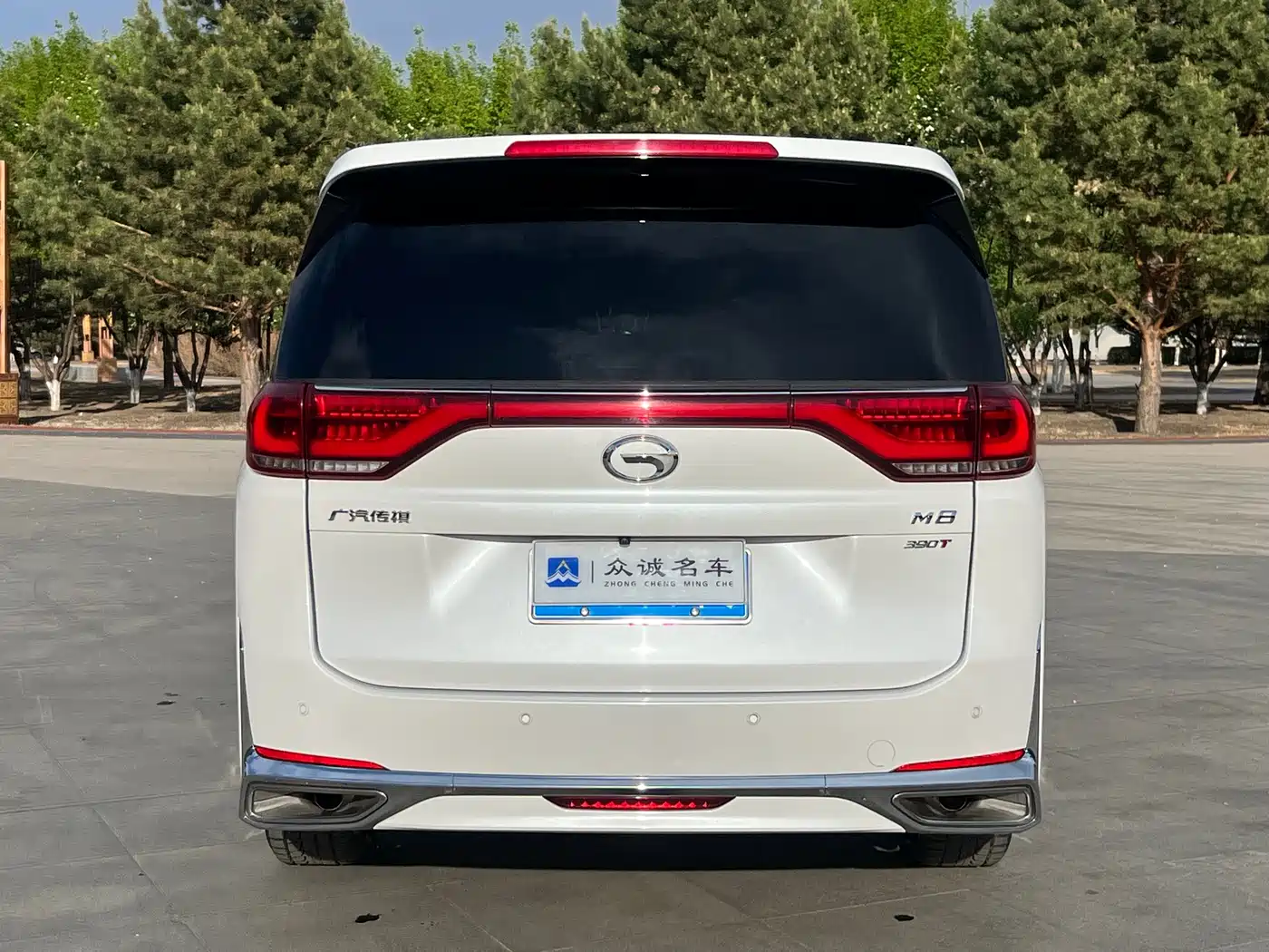 GAC Trumpchi Trumpchi M8 2023 Leading Series 390T Prestige Edition фото 8