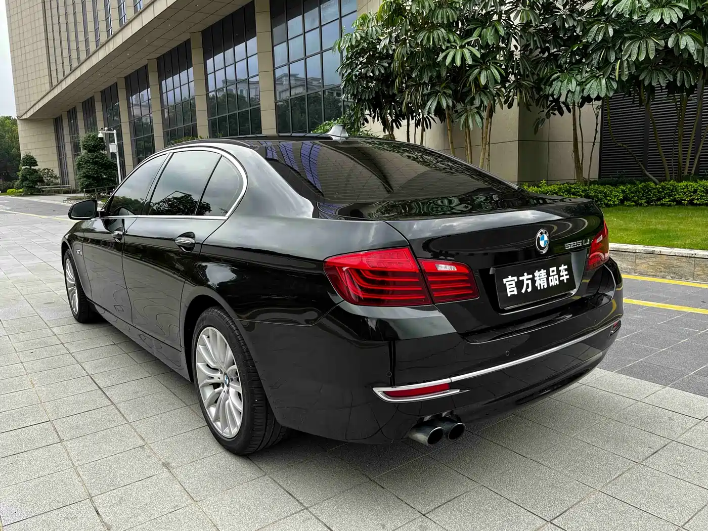 BMW 5 Series 2014 525Li Luxury Design Package фото 9