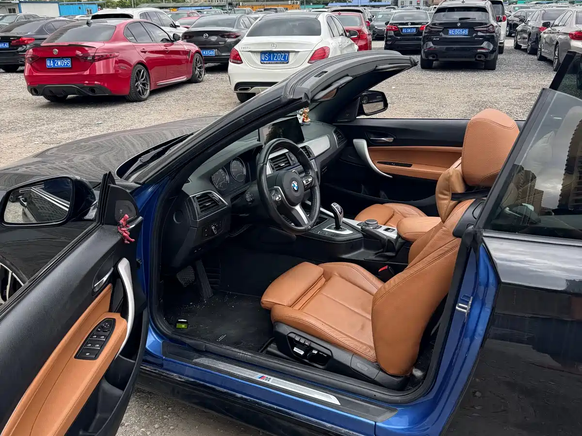 BMW 2 Series (Import) 2019 225i Convertible Coupe Exclusive M Sport Package фото 9
