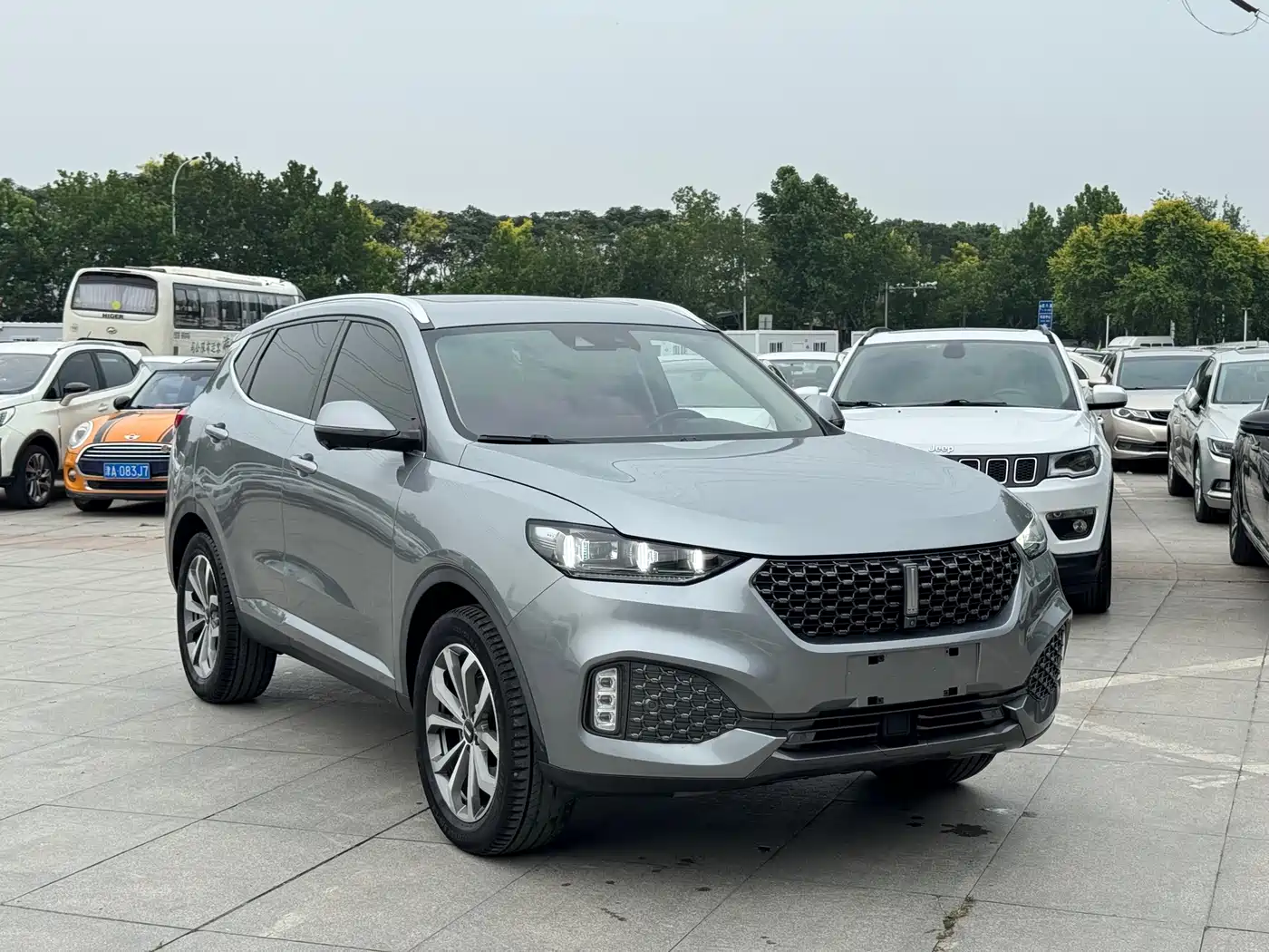 Фото 3 - WEY VV6