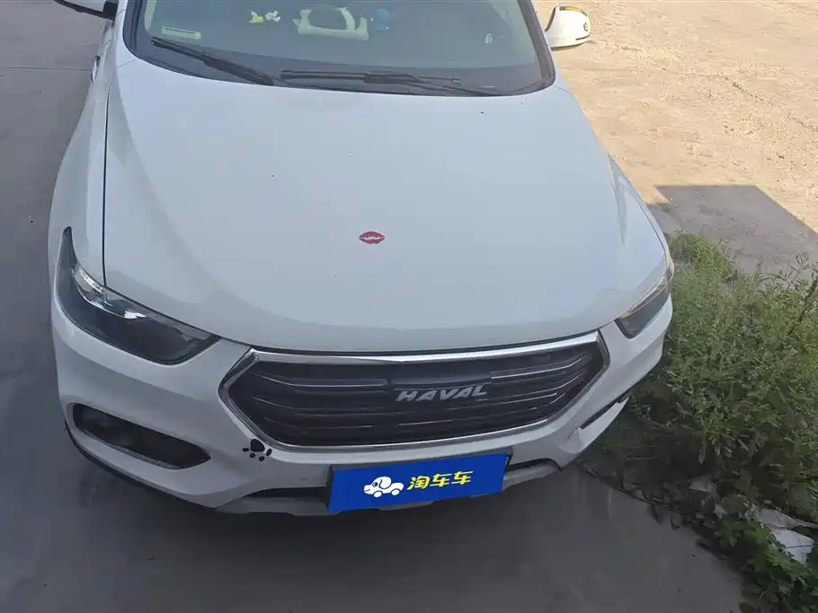 Haval H6 2018 Blue Label Sport 1.5T Automatic 2WD Premium фото 2