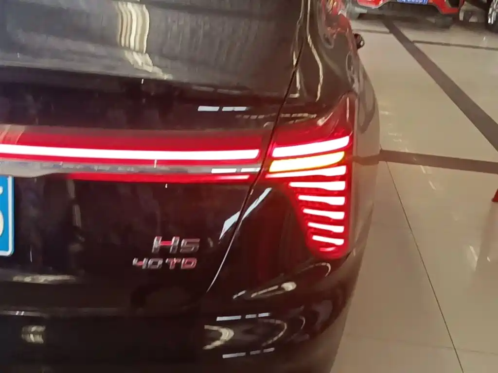 Hongqi H5 2024 2.0T Automatic Smart Connect Flag Smooth Edition фото 8