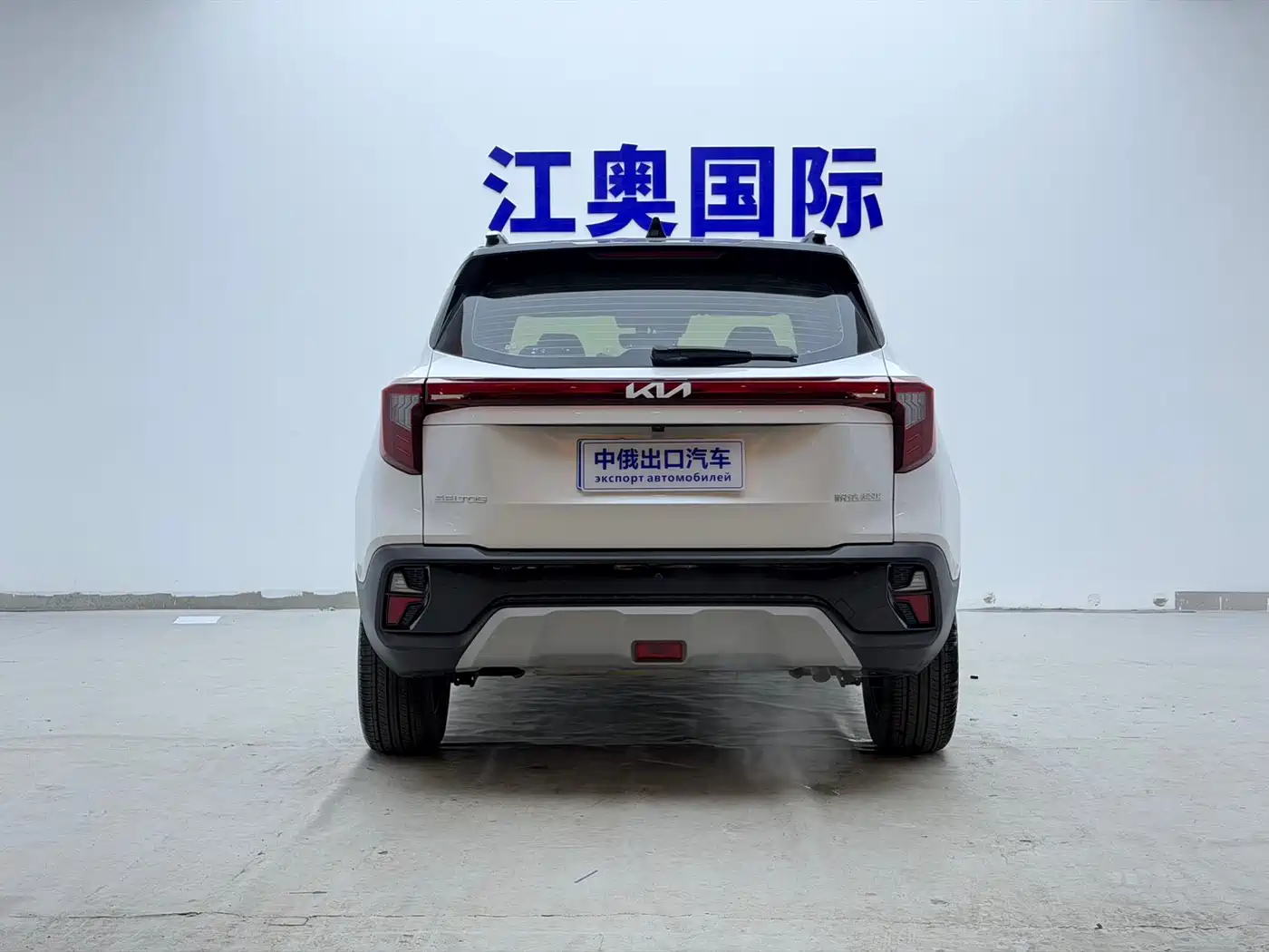 Kia Seltos 2023 1.5L CVT Premium Edition фото 21