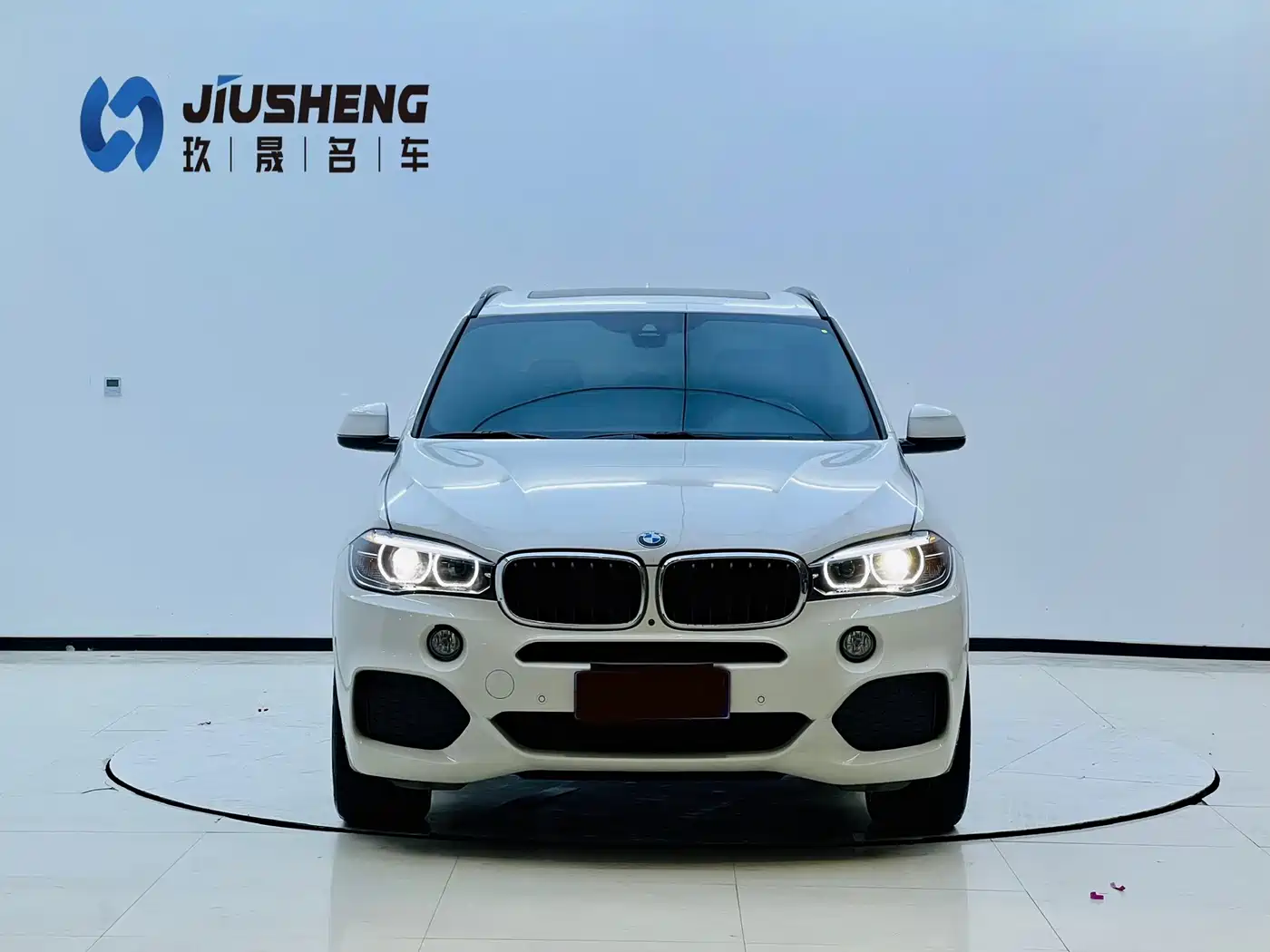 BMW X5 (Import) 2017 xDrive35i M Luxury Sport фото 2