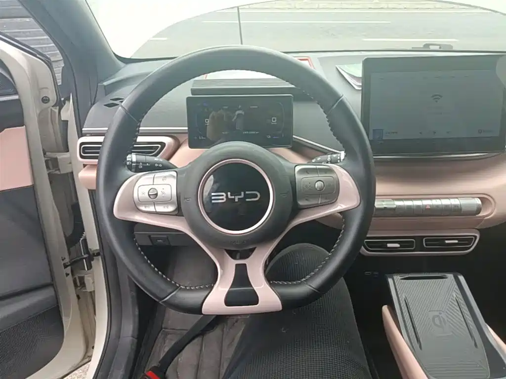 BYD Seagull 2024 Glory Edition 305km Freedom Edition фото 11