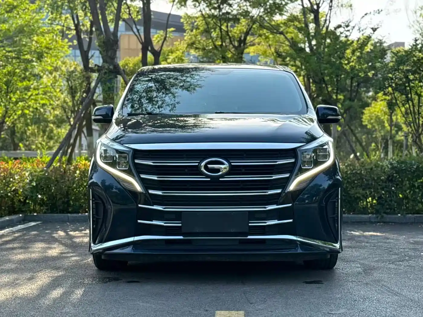GAC Trumpchi Trumpchi M8 2021 Leading Show Series 390T Premium Edition фото 2