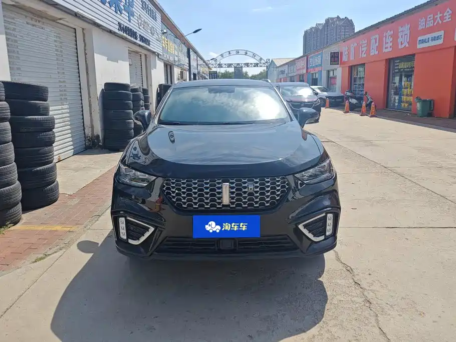 2021 WEY VV5