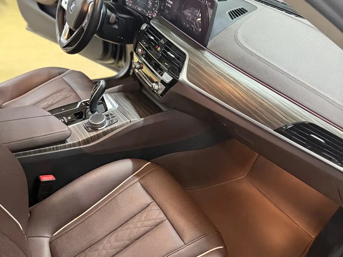BMW 5 Series 2021 530Li Leading Luxury Package фото 13