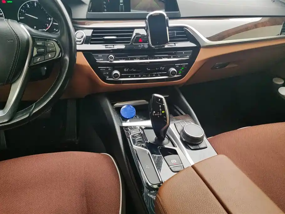 BMW 5 Series 2018 528Li Launch Special Edition фото 16