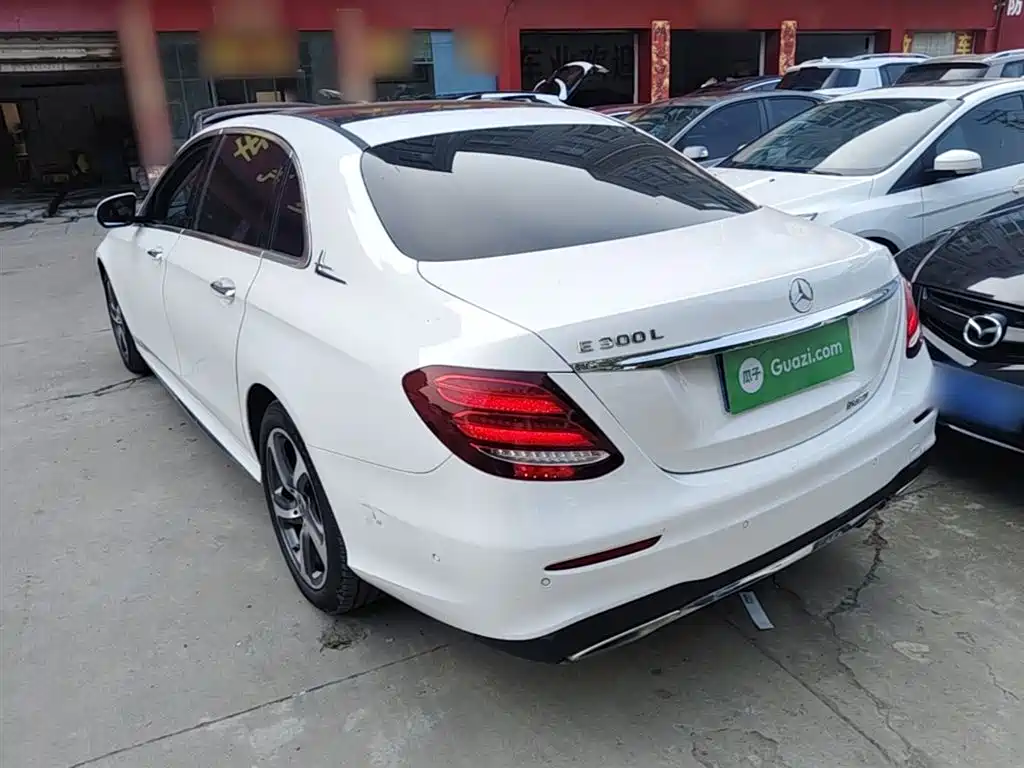 Mercedes-Benz E-Class 2019 Facelift E 300 L Sport Luxury фото 5