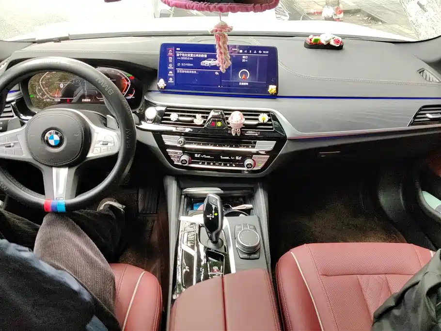 BMW 5 Series 2023 530Li Leading Luxury Package фото 11